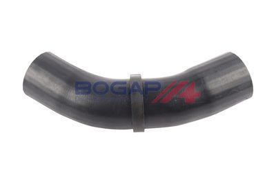 FURTUN EAR SUPRAALIMENTARE BOGAP B1711160 1