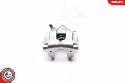 Brake Caliper 23SKV564