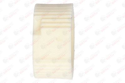 BUCSA ARBORE DE DIRECTIE BIRTH 4916 10