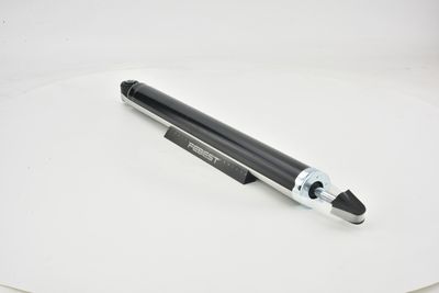 AMORTIZOR FEBEST 21650805R 10