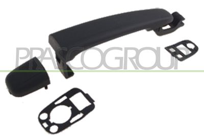 TüRGRIFF PRASCO PG4208003