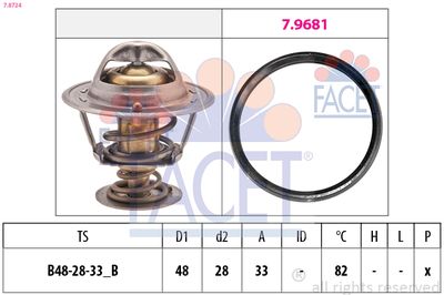 термостат, охладителна течност FACET