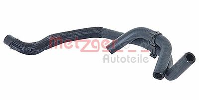 Radiator Hose 2420417