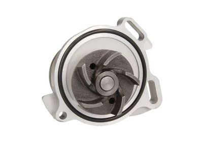 Water Pump, engine cooling D1W005TT