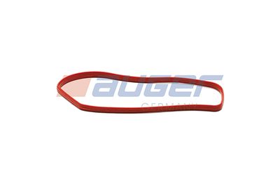 Dichtung, Ansaugkruemmer