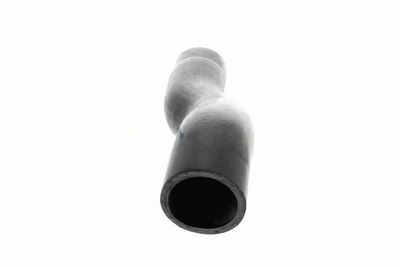 FURTUN EAR SUPRAALIMENTARE ACKOJA A529600 3
