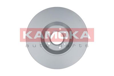 Brake Disc 103304