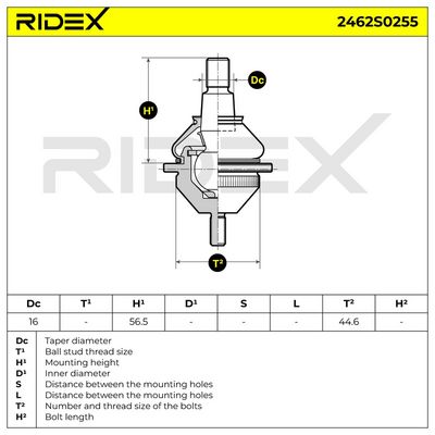 Шарнири RIDEX 2462S0255