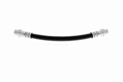 FURTUN FRANA VAICO V104136 5