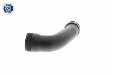 LADELUFTSCHLAUCH VAICO V102889 4