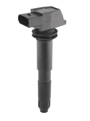BorgWarner (BERU) Zündspule
