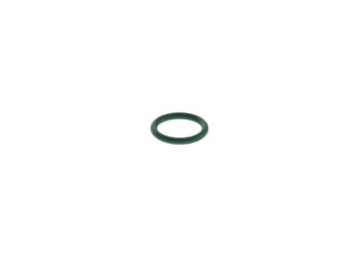 Brandstofinspuitpomp element sensor o-ring
