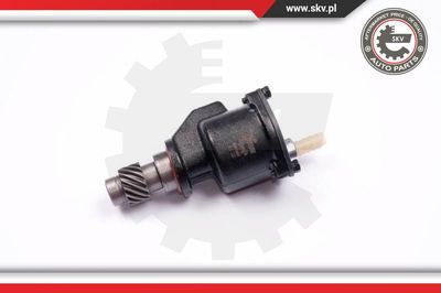 ESEN SKV 18SKV012 Вакуумный насос для VW PASSAT B3/B4 Variant (3A5, 35I)