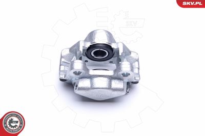 Brake Caliper 42SKV734