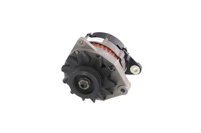 GENERATOR / ALTERNATOR REMANTE 011003000080R 65