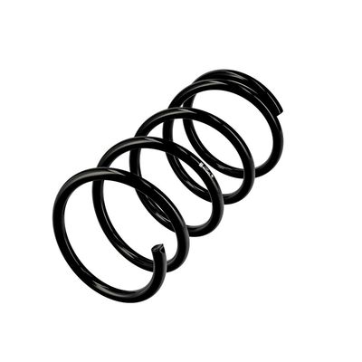 ARC SPIRAL EIBACH R10445 3