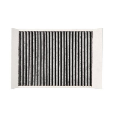 FILTRU AER HABITACLU DR!VE+ DP1110120236 3