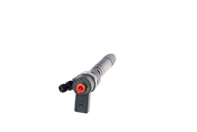 INJECTOR REMANTE 002003001146R 29