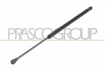 GASFEDER KOFFER-/LADERAUM PRASCO VG0389055