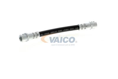 FURTUN FRANA VAICO V104114 46