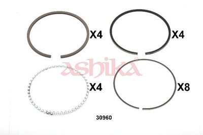 SEGMENT PISTON