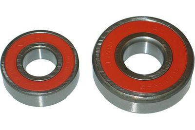 Kavo Parts Rato guolio komplektas