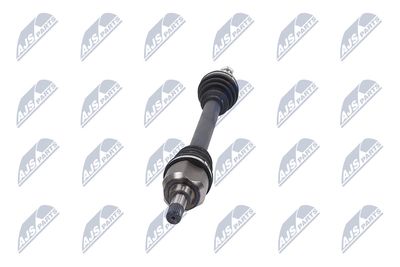 PLANETARA NTY NPWPE077 34