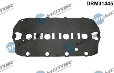 Прокладка, крышка головки цилиндра Dr.Motor Automotive DRM01445 для ROVER COUPE