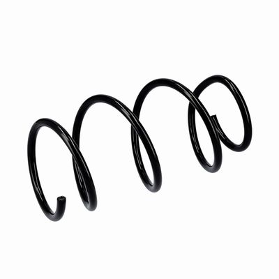 ARC SPIRAL EIBACH R10839 17