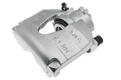 Jarrusatula LAUBER 77.5379