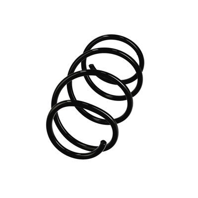 ARC SPIRAL EIBACH R11044 2