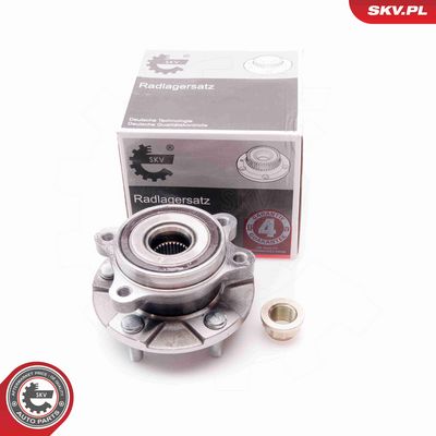 SET RULMENT ROATA ESEN SKV 29SKV042