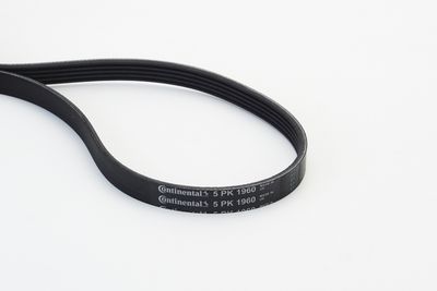 CONTINENTAL CTAM Keilrippenriemen