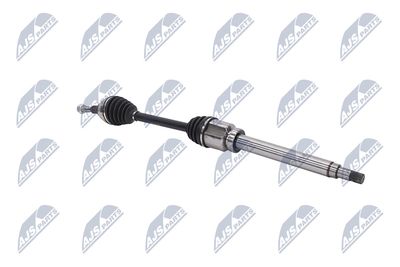 PLANETARA NTY NPWFR115 28