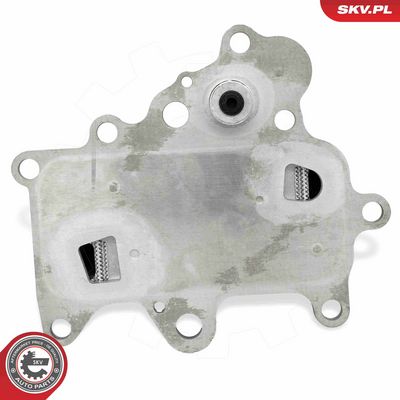 Olejový chladič, motorový olej ESEN SKV 31SKV351