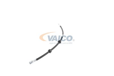 FURTUN FRANA VAICO V104226 17