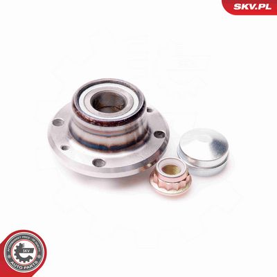 SET RULMENT ROATA ESEN SKV 29SKV075 1