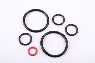 RADIATOR RACIRE MOTOR NISSENS 60778 4