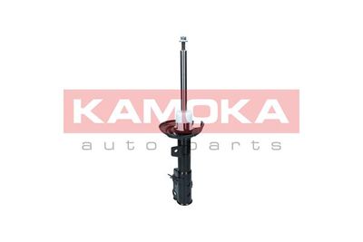 Shock Absorber 2000023