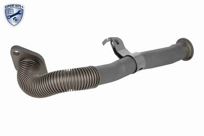 Diesel deeltjesfilter drukslang past: RENAULT LAGUNA III, MASTER III, MEGANE, MEGANE III, TRAFIC II 2.0D/2.3D 08.06-