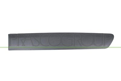 ELEMENTE DECORATIVE/PROTECTIE PORTIERA PRASCO CI9181454