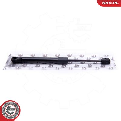 Dujinė spyruoklė, gaubtas