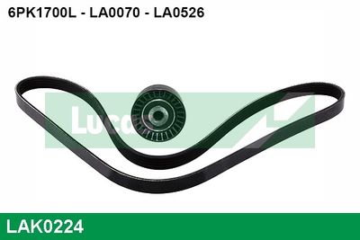 SET CUREA TRANSMISIE CU CANELURI