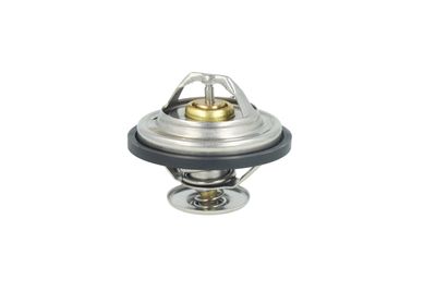 TERMOSTAT LICHID RACIRE NRF 725478 27