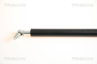 AMORTIZOR PORTBAGAJ KAWE 871069206 1