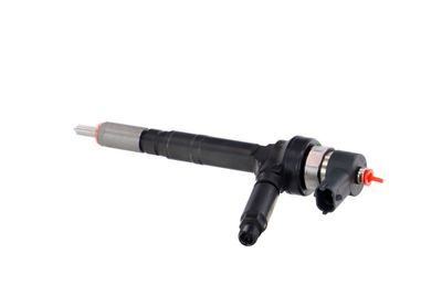 INJECTOR REMANTE 002003001191R 16