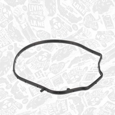 SET GARNITURI CARCASA DISTRIBUTIE ET ENGINETEAM TM0068 2