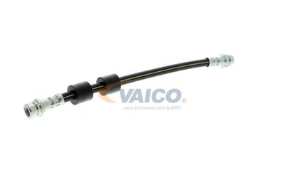 FURTUN FRANA VAICO V251328 54