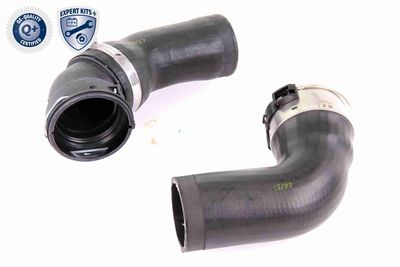 FURTUN EAR SUPRAALIMENTARE VAICO V201617 6