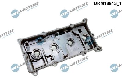 Kryt hlavy válce DR.MOTOR DRM18913
